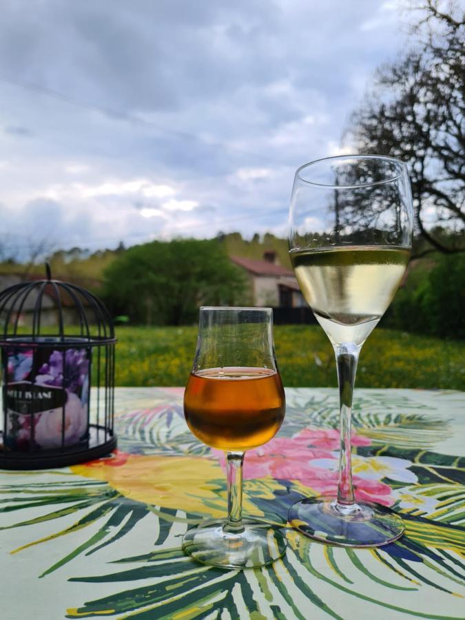 La Perle De Frayssinet-Le-Gelat - Chambre D'Hotes - B&B Εξωτερικό φωτογραφία